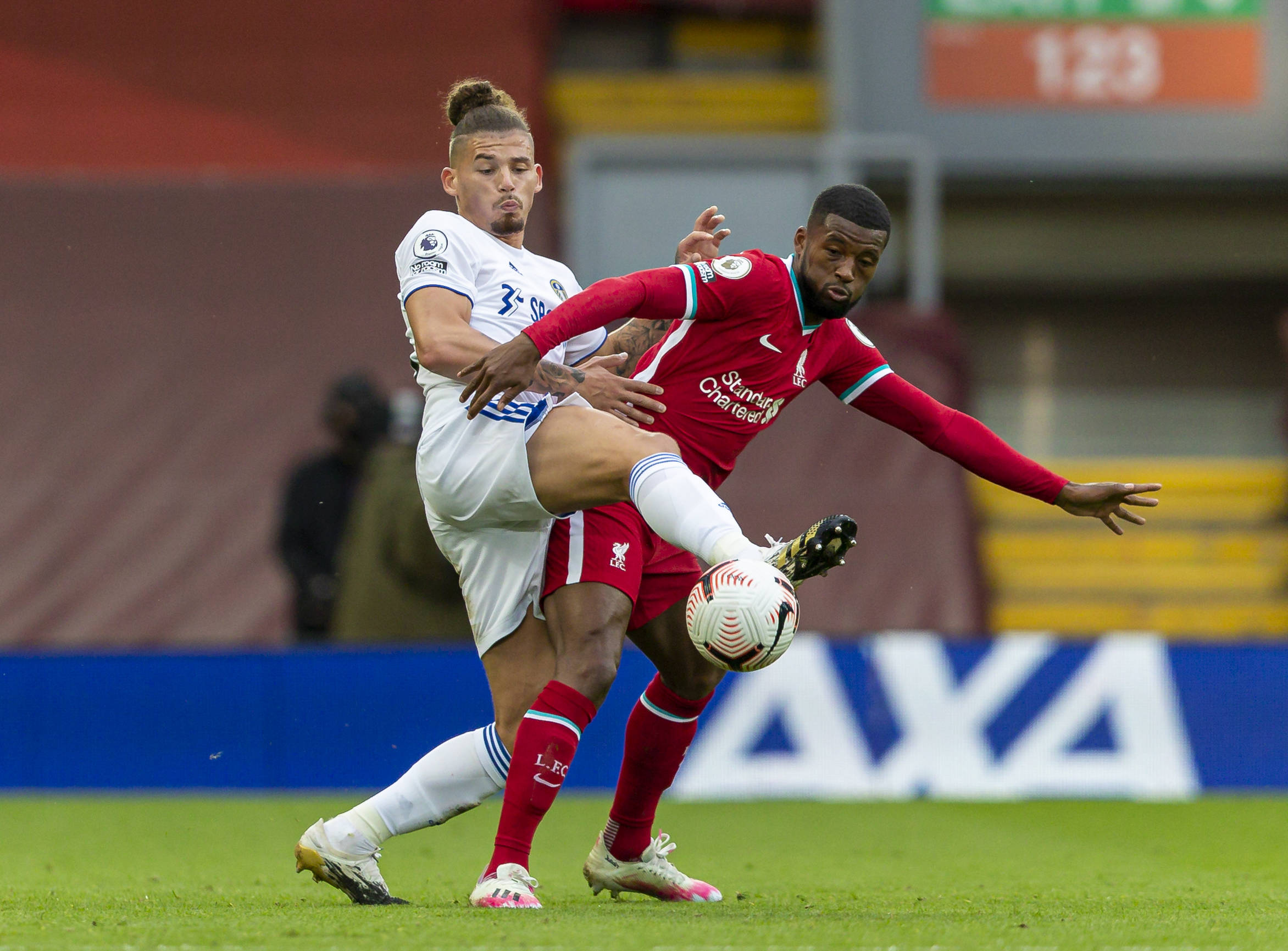 今年一支引 今年一支引