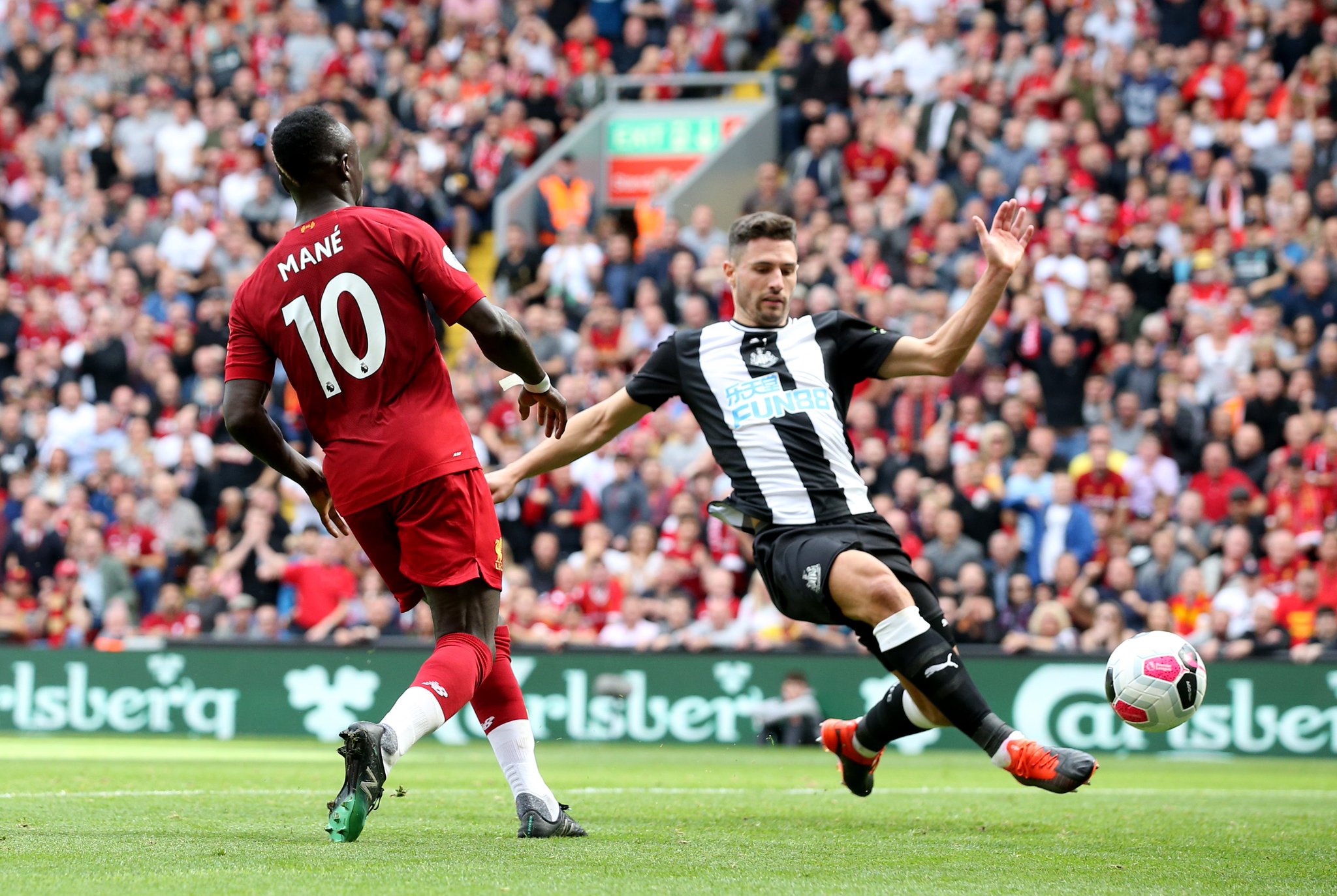 现出了极高 现出了极高